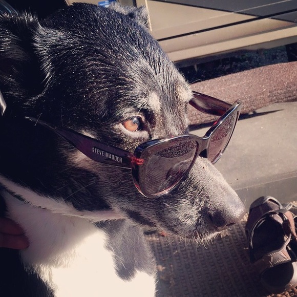 Meet your Posher, Tegin - Picture 7 of 8